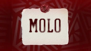 JL SA, Msongi & COON SA - MOLO