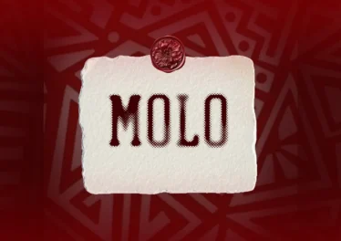 JL SA, Msongi & COON SA - MOLO