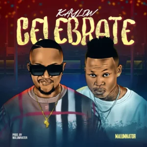 Kaylow & Malumnator - Celebrate