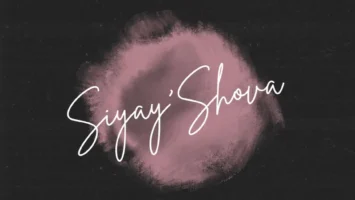LeeMcKrazy, Springle & Pushkin - Siyay'Shova (feat. Musical Soulz)