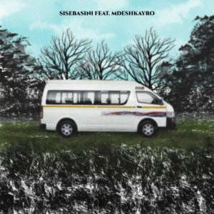 Novatron, DJ 787 & Mulest Vankay - Sisebasini (feat. Mdeshkayro)