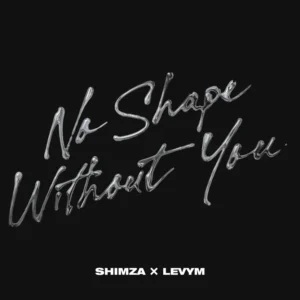 Shimza & LevyM - No Shape Without You &bull; Download MP3