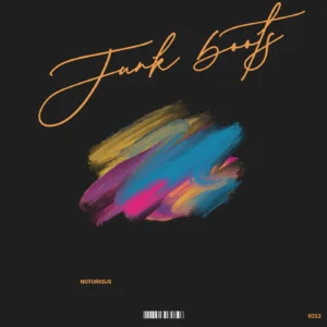 Notorious - Junk Boots Cover Art