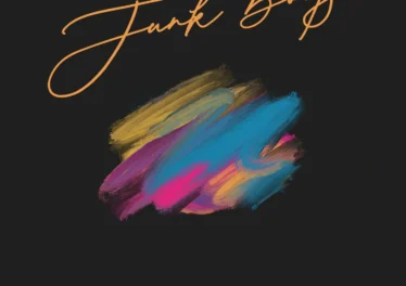 Notorious - Junk Boots Cover Art