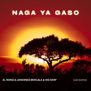 El RoniQ - Naga Ya Geso (Remix) (feat. Johannes Mohlala & His Harp) Cover Art
