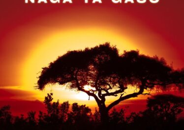 El RoniQ - Naga Ya Geso (Remix) (feat. Johannes Mohlala & His Harp) Cover Art