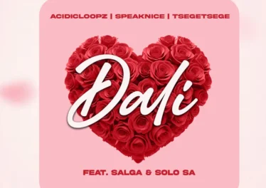 Acidicloopz, SpeakNice & Tšegetšege - DALI (feat. Salga & Solo SA)