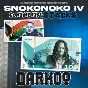 Al Xapo, Benzoo, EeQue & Darkoo - SNOKONOKO IV (Darkoo)