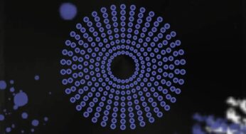 The AquaBlendz – I’m a Rider (Extended Mix)