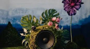 Zakes Bantwini & Skye Wanda – Echoes Of Botanical Gardens (Album)