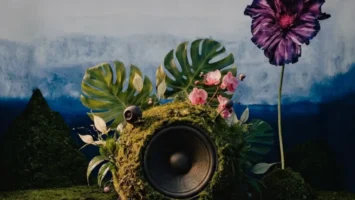 Zakes Bantwini & Skye Wanda - Echoes Of Botanical Gardens (Album)