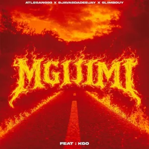Atlegang93, SjavasDaDeejay & Slimbouy - Mgyjimi (feat. KGO)