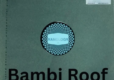 Ben Produces & DJ Superman - Bambi Roof