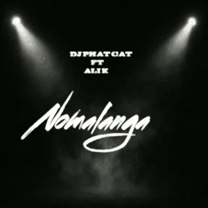 DJ Phat Cat - Nomalanga (feat. Ali K)