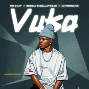 Mr GKay, Beekay Monalayzzar & MNTOMNANDI - VUKA
