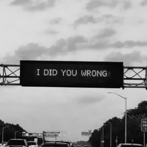 Phoenix Sounds & Shallow Melodies - I Did You Wrong