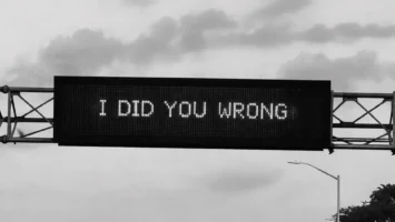 Phoenix Sounds & Shallow Melodies - I Did You Wrong