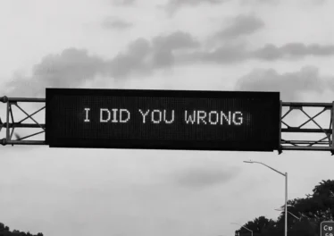 Phoenix Sounds & Shallow Melodies - I Did You Wrong