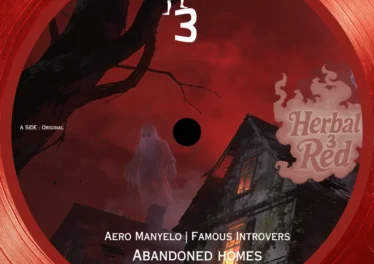 Aero Manyelo & Famous Introverts - Abandoned homes