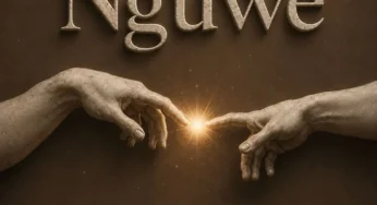 Baby S.O.N & DoouShii – Nguwe