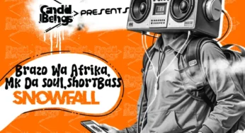 Brazo Wa Afrika, Mk Da Soul & ShortBass – SnowFall