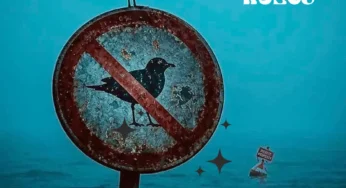 DrummeRTee924 – Break The Rules EP
