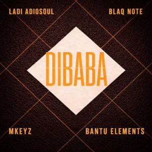 Ladi Adiosoul, Blaq Note, Mkeyz & Bantu Elements - DIBABA