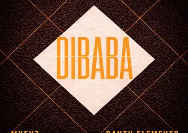 Ladi Adiosoul, Blaq Note, Mkeyz & Bantu Elements - DIBABA