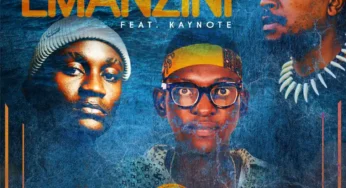 Mshudu, Darkface & Kaynote – Emanzini