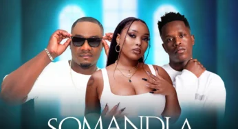 Smash SA, DJ Ale & Leandra.Vert – Somandla (feat. Sipho Magudulela)