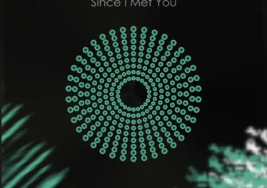 The AquaBlendz & Leoyanda - Since I Met You (Extended Mix)