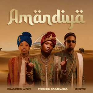 Blacks Jnr, Reece Madlisa & Zisto - Amandiya