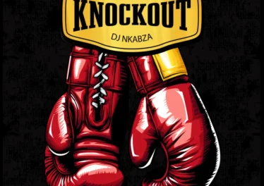 Lebza TheVillain & DJ Nkabza - KnockOut