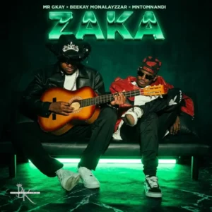 MR Gkay, Beekay Monalayzzar & Mntomnandi - ZAKA
