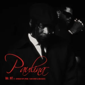 Mr NT - Paulina (feat. Afriikan Papi, Jeda Beatz & Slick Widit) Mr NT - Paulina (feat. Afriikan Papi, Jeda Beatz & Slick Widit)
