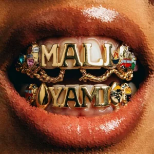 Sir Trill, uDoti uDemedi, Snaka & K-Zaka - Mali Yami (feat. Born Kxng & Deestar ZA)