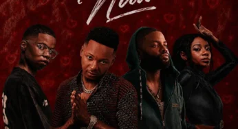 Catzico & DJ Veek – Nawe (feat. Skales & Natasha MD)