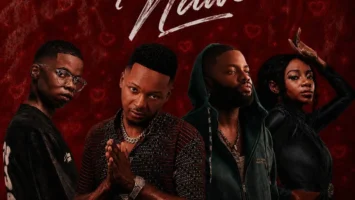 Catzico & DJ Veek - Nawe (feat. Skales & Natasha MD)