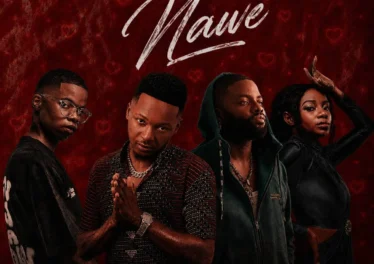 Catzico & DJ Veek - Nawe (feat. Skales & Natasha MD)