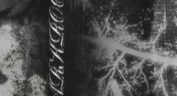 DooBerry & DT.MO – DARKROOM (feat. Morena deh keys)