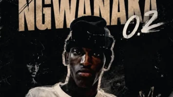 Leeco sa - Ngwanaka 0.2 &bull; Download MP3