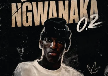 Leeco sa - Ngwanaka 0.2 &bull; Download MP3