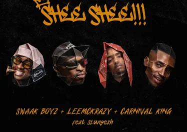 SWAAK BOYZ, Leemckrazy & Carnival King - SHEE SHEE!!! (feat. Slungesh) &bull; Download MP3
