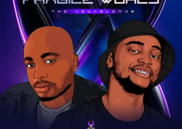The AquaBlendz - Fragile World EP The AquaBlendz - Fragile World EP