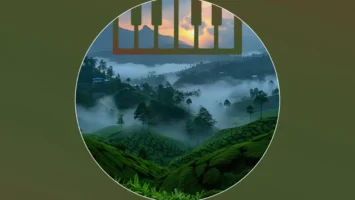Various Artists - Sanelow Dark, Vol. 23 [Album]