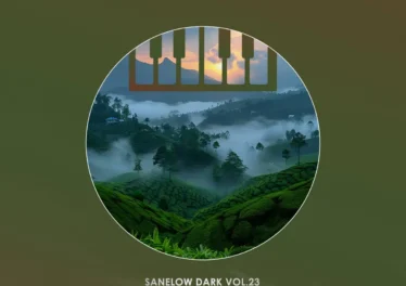 Various Artists - Sanelow Dark, Vol. 23 [Album]