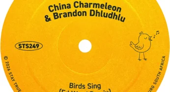 China Charmeleon, Brandon Dhludhlu & Ed-Ward – Birds Sing (Ed-Ward Remix)