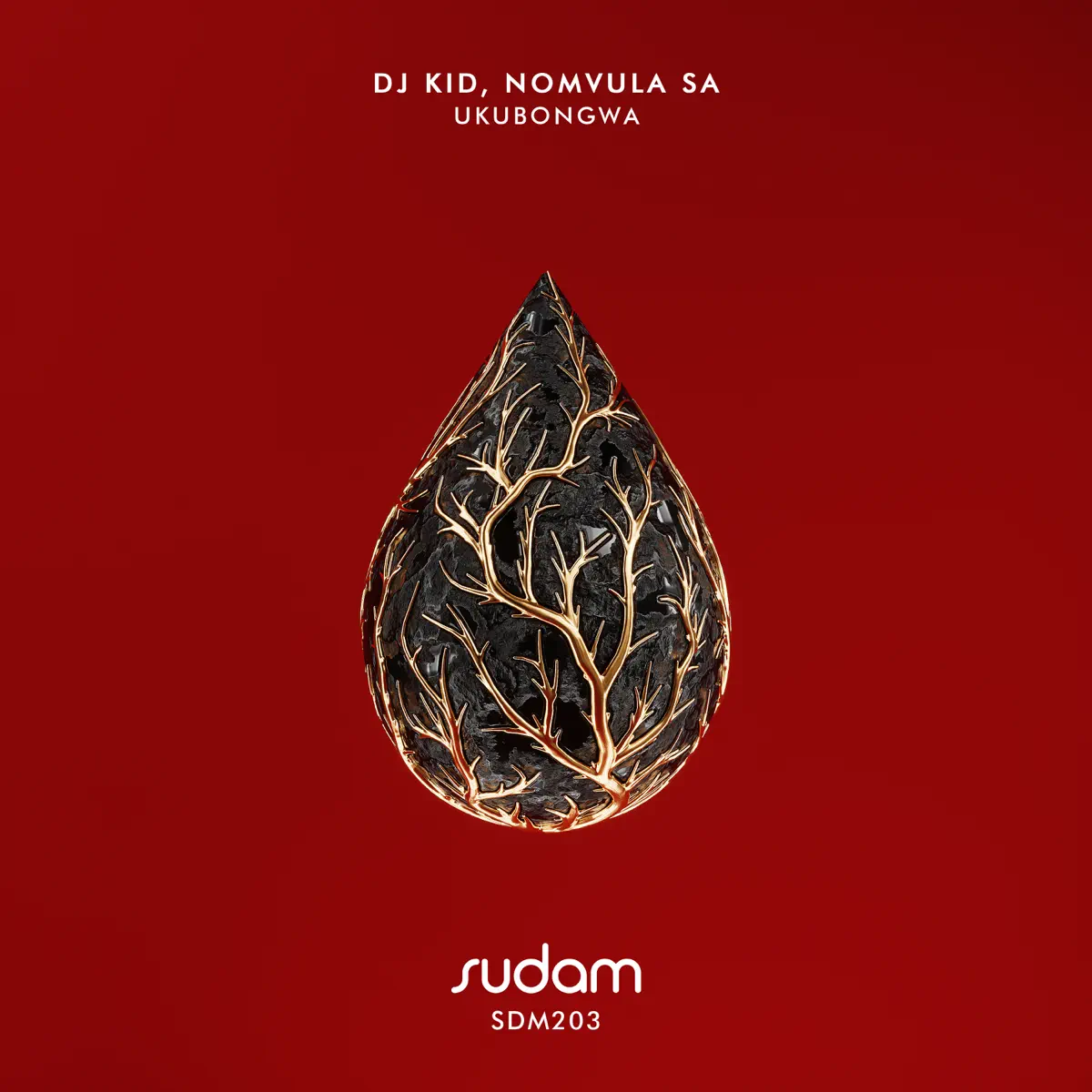 DJ KID & Nomvula SA - Ukubongwa (Original Mix)