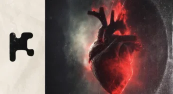 Studio Bros – Heartbeat