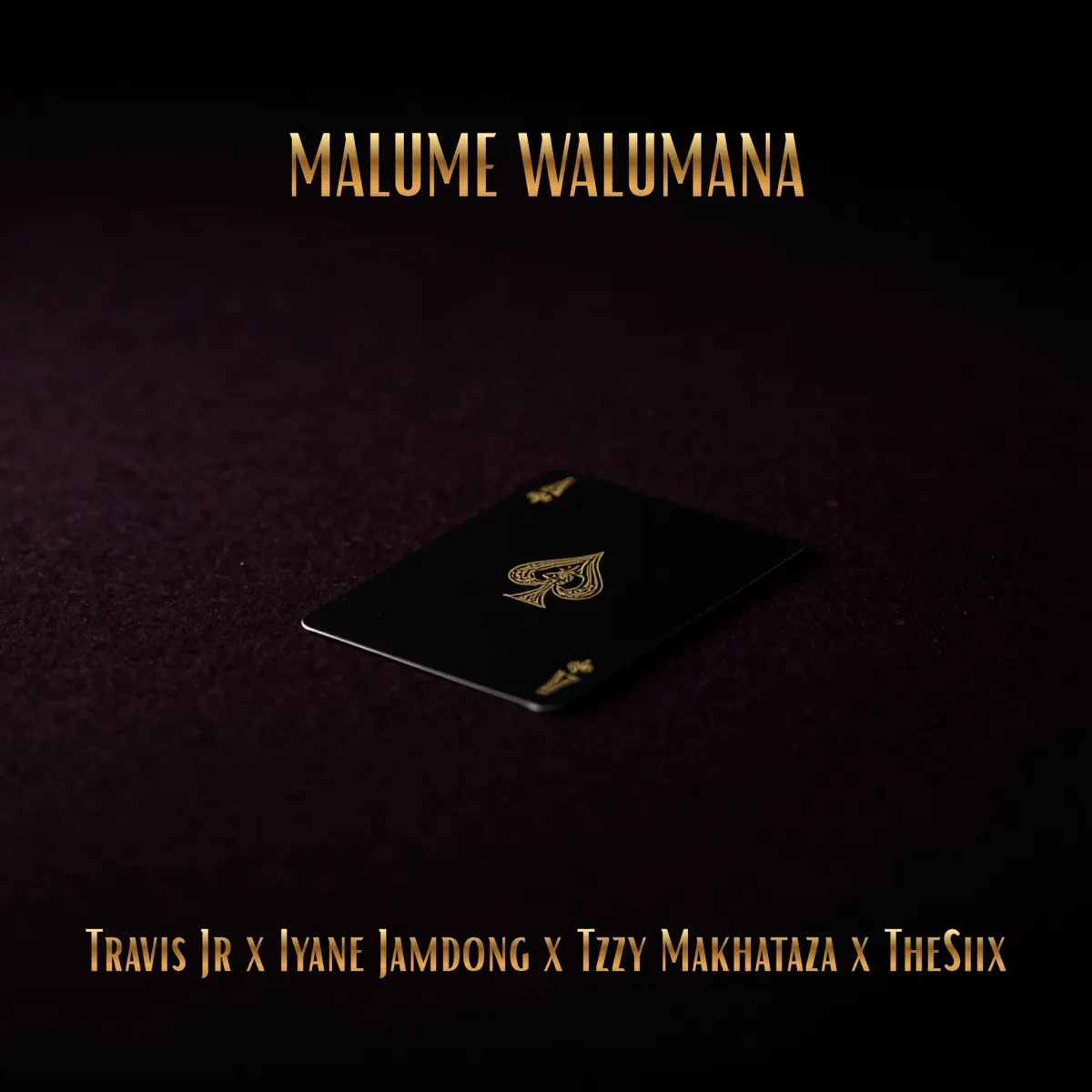 Travis Jr, Iyane Jamdong, Tzzy Makhathaza & thesiix - Malume Walumana